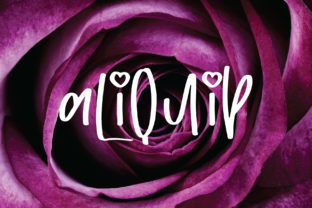 Aliquip Script Font for Handmade Labels & Elegant Printables