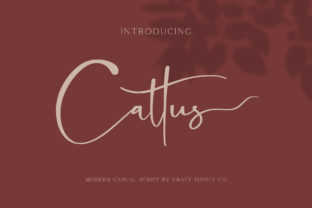 Cattus Script Handwritten Font for Modern Makers