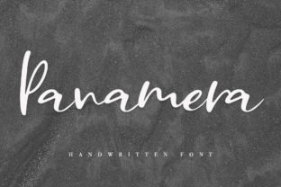 Panamera Script Font for Authentic Design Ideas