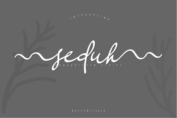 Seduh Script Font for Scroll-Stopping Visual Campaigns